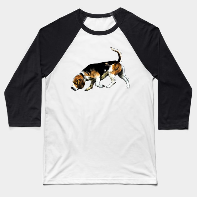 beagle Baseball T-Shirt by VicaVeresk